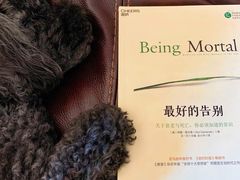 -中农国际动物医院24小时·猫科·骨科·急重症中心