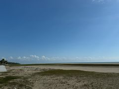 -东郊椰林