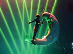 -芜湖新华联大白鲸海洋公园