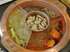 菌王奇香锅-滇釜火锅·能喝汤的火锅(车公庄店)