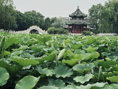 -莲池书院博物馆