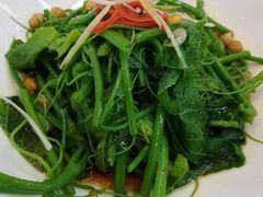 -巴依老爷新疆美食(望京小街店)