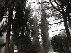 -重庆抗战遗址博物馆