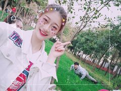 -嘉定紫藤园