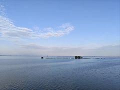 -湖南东洞庭湖国家级自然保护区