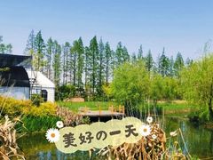 -前小桔亲子创意农场·草莓采摘·露营烧烤