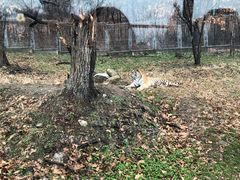 -西安秦岭野生动物园