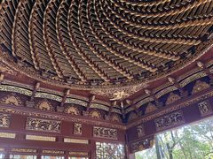 -汇龙潭