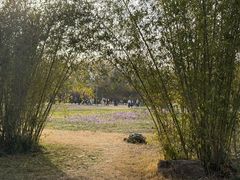 -郑州植物园