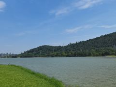 -顺峰山公园