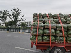 -南京众彩农副产品配送有限公司
