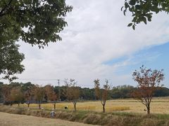 -祝甸砖窑文化馆