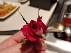 -海底捞火锅(九久奥特莱斯店)