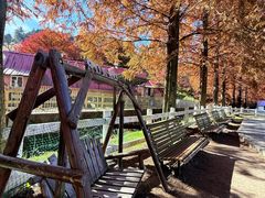 -神户市立六甲山牧场