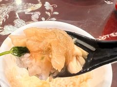 -大中鱼翅 Taitong Shark Fin