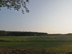 -东郊湿地公园