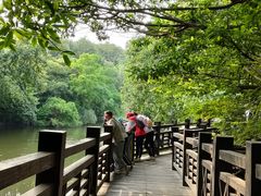 -白马涧龙池景区