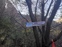-青龙山生态文化旅游区(慈云寺)