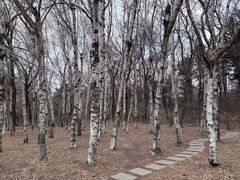 -长春市南湖公园