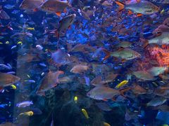 -成都浩海立方海洋公园