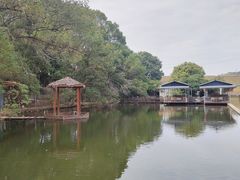 -水库河鲜村