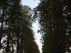 -东湖落雁景区