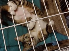 -逃脱反斗城沉浸剧情密室(北京路店)