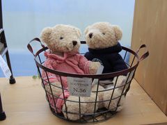 -济州岛泰迪熊博物馆