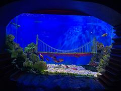 -太平洋海底世界