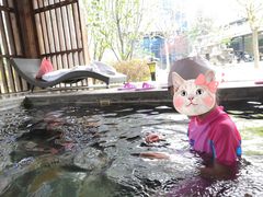 -中家鑫园温泉酒店鑫悦汤泉