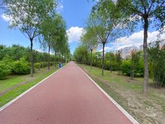 -黛秀湖公园