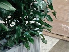 -上海市普陀区中心医院