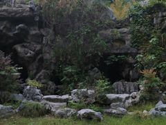 -上海鲜花港