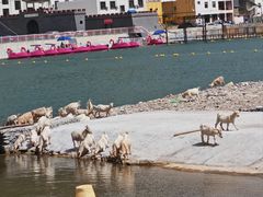 -野三坡清泉山风景区