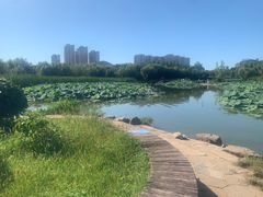 -前关湿地公园