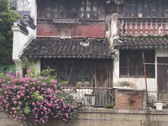 -练塘古镇