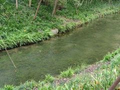 -新江湾城公园