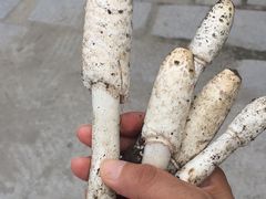 -白渔泡湿地公园