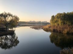 -大兴滨河森林公园