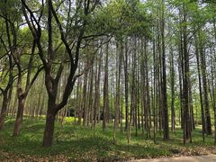 -水上明月·湖景餐厅