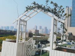 点击看大图 -OM瑜伽教练培训学院