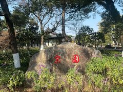 -江心屿景区