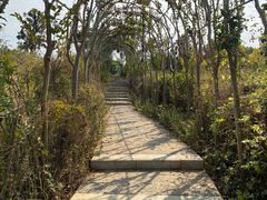 -花博汇(知音花月夜)