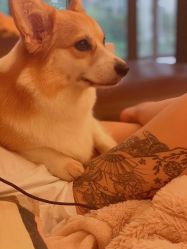 -729CLUB美式风格纹身店