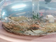 -南海底小海鲜·湘菜(鲁巷吴家湾店)