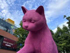 -西安电影制片厂