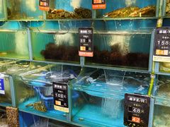 -海味当家·蒸锅海鲜(星海公园店)