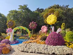 -上海共青森林公园