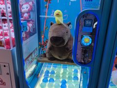 -大玩家(魏家庄万达店)