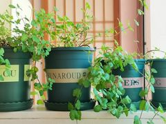 -酒井酱子·深夜食堂(东城汇店)